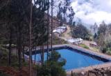 Foto: cortesía