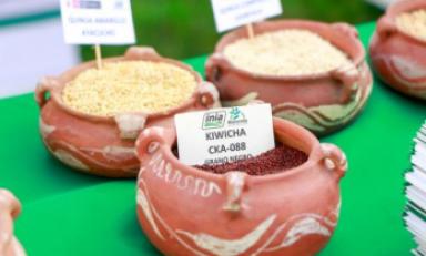 Foto: Andina