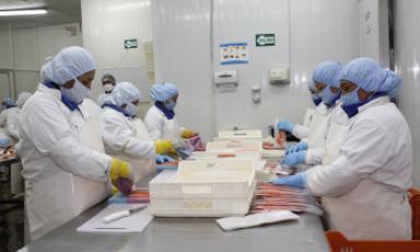 Foto referencial- Internet