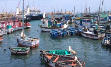 (Foto cortesía  Andina)