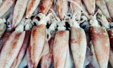 Foto: cortesía Produce