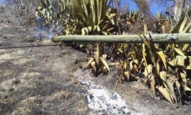 Foto cortesía Coer Ancash