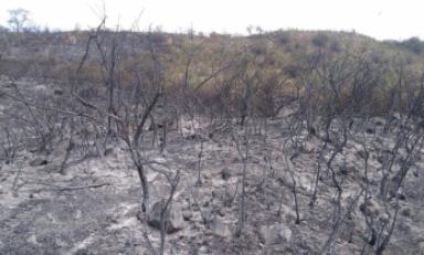 Foto: Cortesía Gonzalo Horna