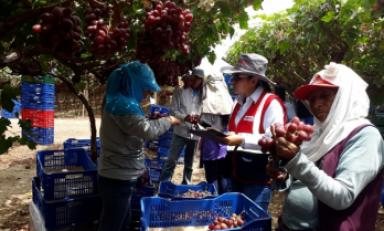 Foto cortesía Sunafil