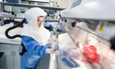 Foto referencial- Internet