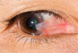 Foto Shepard Eye Center