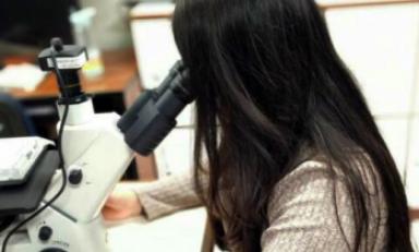 Foto referencial- Internet