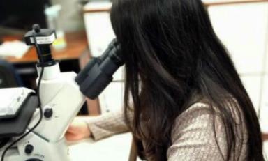 Foto referencial - internet