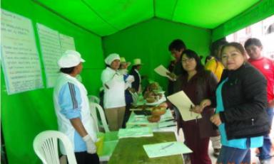 Foto: Cortesía Municipalidad Distrital de Pallasca