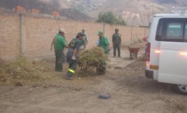 Foto referencial