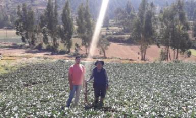 Foto referencial- Internet